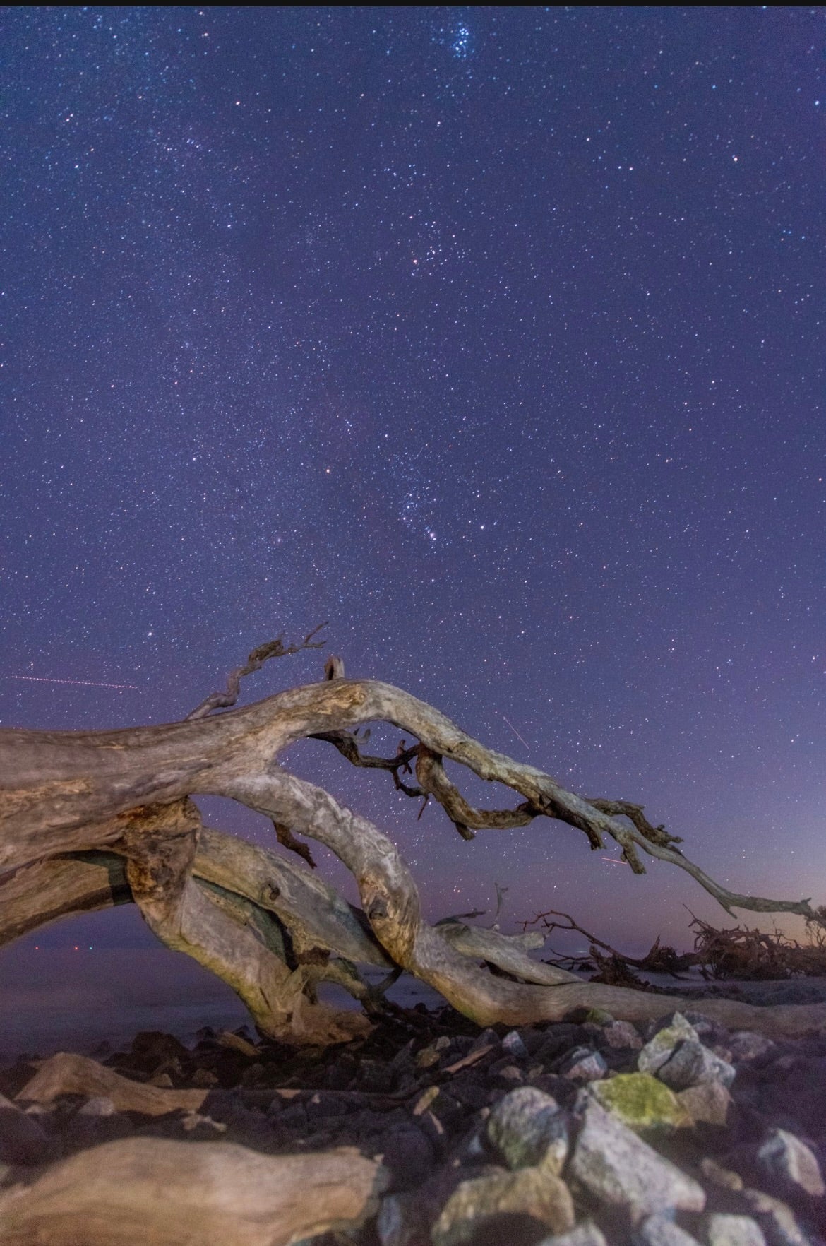 Starlight | Quiet wonder, written in the sky.